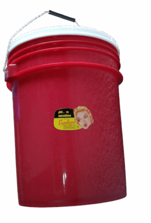 cubeta cuplasa 10 l-Photoroom Cubeta de 19 litros